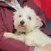 Sandy HIrsch Griffin - Facebook