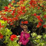 Sandy Hirsch (sandy salow Hirsch) - @sandyhirschsandysalow - Instagram