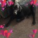 Sandy Hix - Facebook