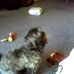 Sandy Hixson - Facebook