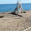 sandyholtonhixson - @sandyholtonhixson - TikTok