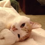 Sandy Hobbs - @smshobbs - Instagram