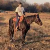 Sandy Hobbs Strauss - @sandy.hobbs.strau - TikTok