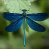Sandy Hobson - @sandy.hobson1 - TikTok