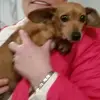 sandyhobson3401 - @sandyhobson3401 - TikTok