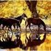 Sandy Hocker - Facebook