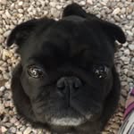 Sandy Hofmann - @elfriedemopshofmann - Instagram