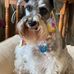 Sandy Holley - Facebook