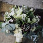 Sandy Holly - @flowergirlsandy - Instagram