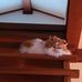 Sandy Holsinger - Facebook