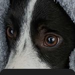 Sandy Holton - @jaed0202 - Instagram
