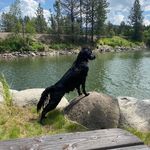 Sandy Holton - @sandyholton2 - Instagram