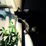 Sandra Honaker Rice - @shrice1951 - Instagram