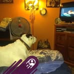 Sandy Hood - Facebook