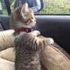Sandy Horn - @sandy.horn - TikTok
