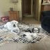 Sandy House - Facebook