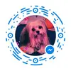Sandy House - @user828277077 - TikTok