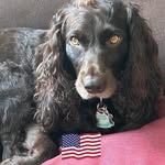 Sandy Hubert Leahy - @salgalsc66 - Instagram
