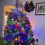 Sandy Hurley - @sanhurl - Instagram