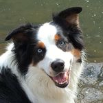 Sandy Hurst - @sandy.hurst.8117 - Instagram