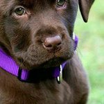 Sandy Hoffman Hutton - @hoffmanhutton - Instagram