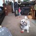 Sandy Hutton - Facebook
