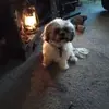 Sandy Hutton - @sandy.hutton - TikTok