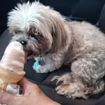 Sandy Hutton - @sandyhutton65 - Instagram