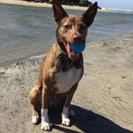 Sandy Kinkade Hutton - @seasidesh - Instagram