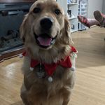 Sandy Irwin - @sandy.irwin.10 - Instagram