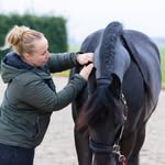 Sandy Jansen - @equine.vitality.coach - Instagram