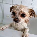 Sandy Jansen - @totipotiloti - Instagram