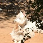 Sandy Jansen - @sandymjj11 - Instagram