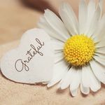 Sandy Jarvis - @sandy.jarvis.986 - Instagram
