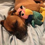 Sandy Jarvis - @1eeyore - Instagram