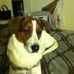 Sandy Judson - Facebook