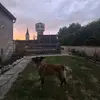 Sandy.jump - @user353535241 - TikTok