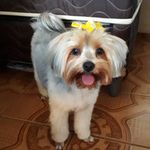 sandy - @sandy_junger - Instagram