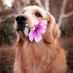 Sandy Kamel - @sandy.kamel.5851 - Instagram