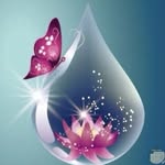 Sandy Kamel - @sandy.kamel.7393 - Instagram