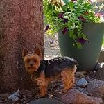 Sandy Kasper - @sandy.kasper.140 - Instagram