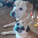 Sandy Kasper VanTassel - @snjvkt - Instagram