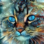 Sandy Katz - @sandykatz75 - Instagram