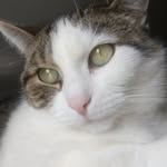 @sandy_katze_ - Instagram