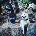 Sandykatz - @sandylovelyfamily - Instagram