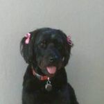 Sandy P Keyes - @sandypkeyes5 - Instagram