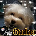 Sandy Kish - @sunnytimes123 - Instagram