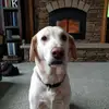 Sandy Knottnerus - @sandy.knottnerus - TikTok
