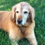 Sandy Koski - @tskoski - Instagram