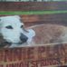 Sandy Kovach - Facebook